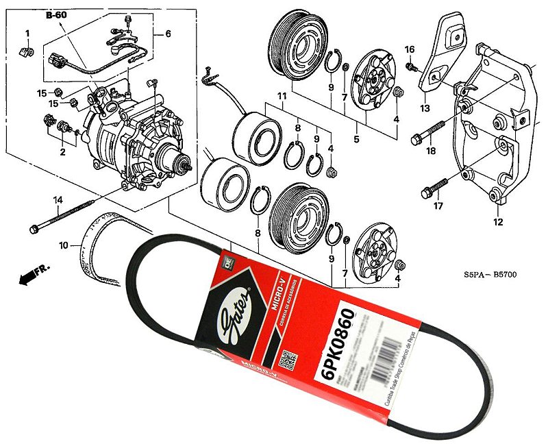 CORREIA POLY V - GATES - 6PK0860