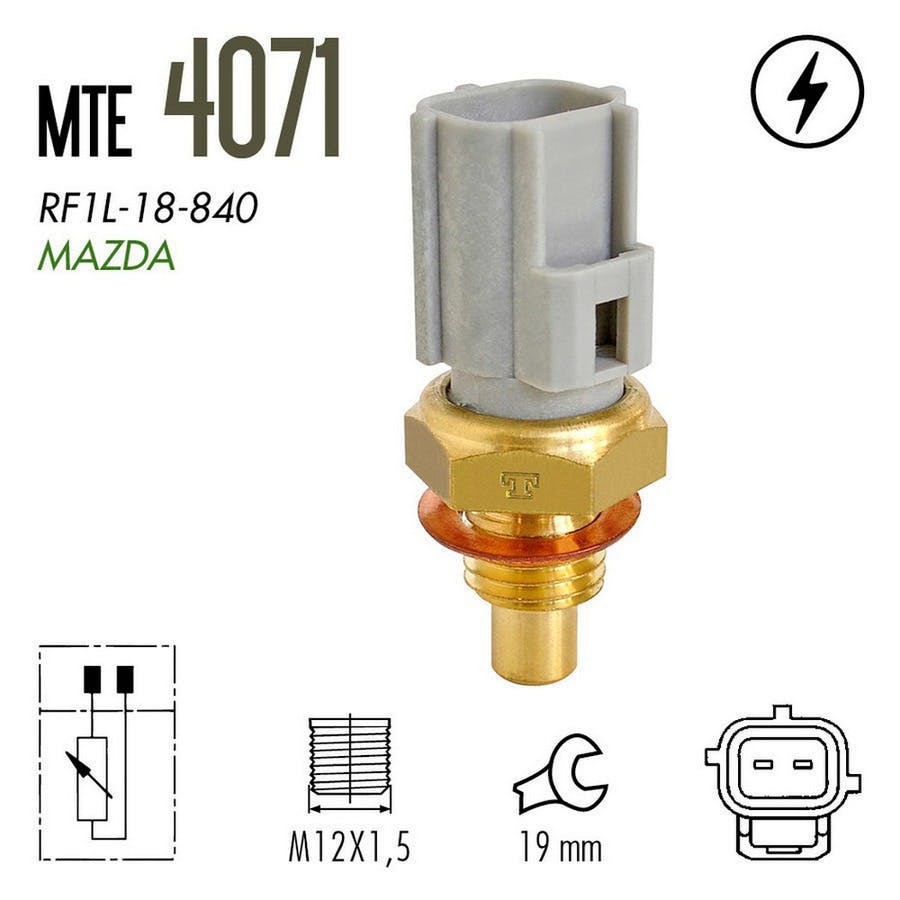 PLUG ELETRÔNICO - MTE-THOMSON - 4071