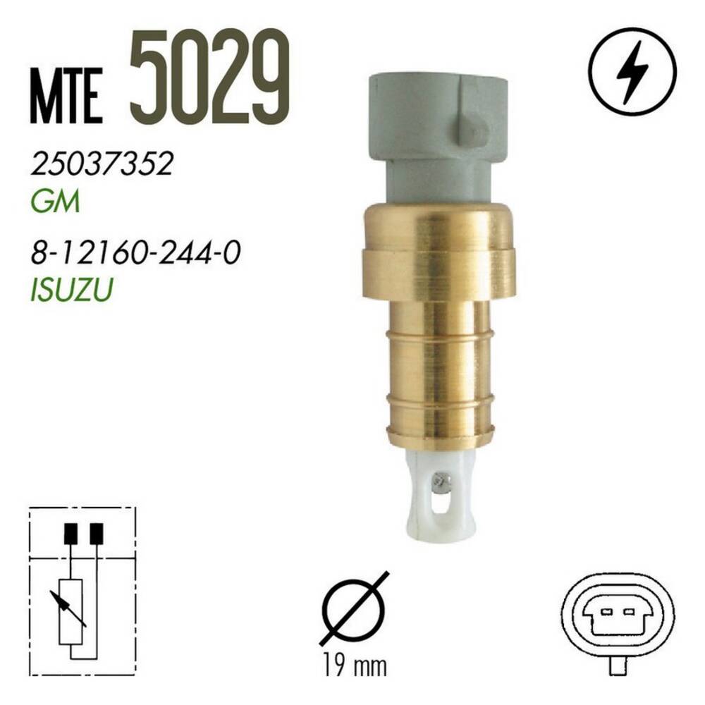 PLUG ELETRÔNICO - MTE-THOMSON - 5029